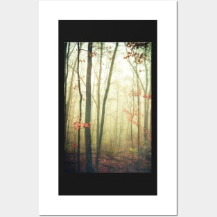 The Woods Are Lovely Dark and Deep Posters and Art